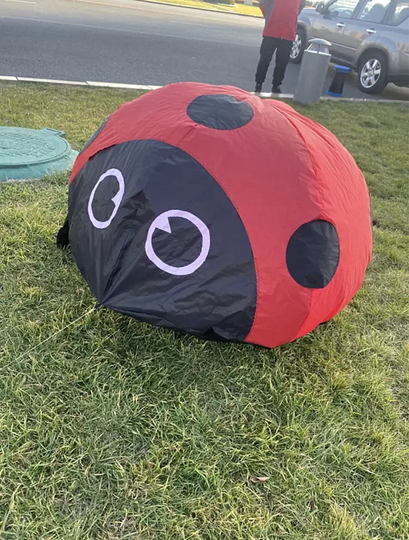 Envío Gratis, cometa de mariquita, pipas blandas para niños, no puede caminar, no volar, juguetes al aire libre, juegos de playa, cerf volant enfants deportes-y-ocio