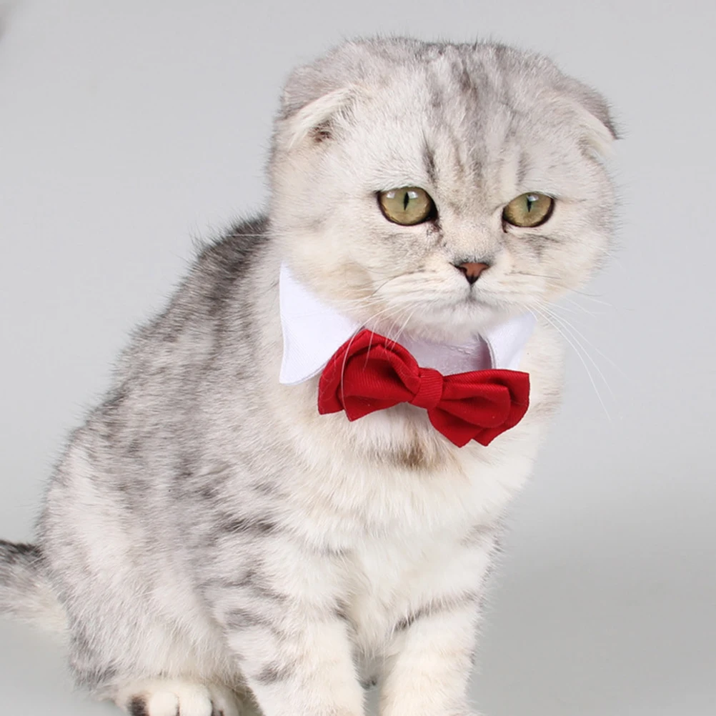 

pet collar cat collar cat bow collar pet cat collar cat tie pet supplies