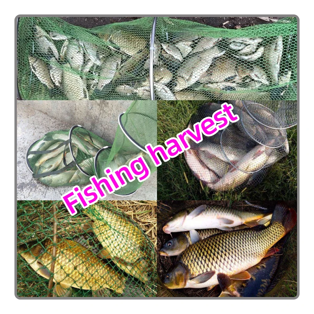 Neuroinducin Fishing Secret Medicine Bait Additive Fish Lure Agent Freshwater Fish General Food Attractant Fishing Supplies