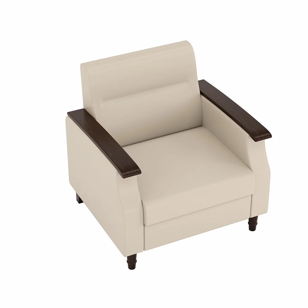 & Luxury Sanatorium Waiting Leisure Room Armrest 1 Seater Module Couch Hospital Reception Stylish Single Sofa