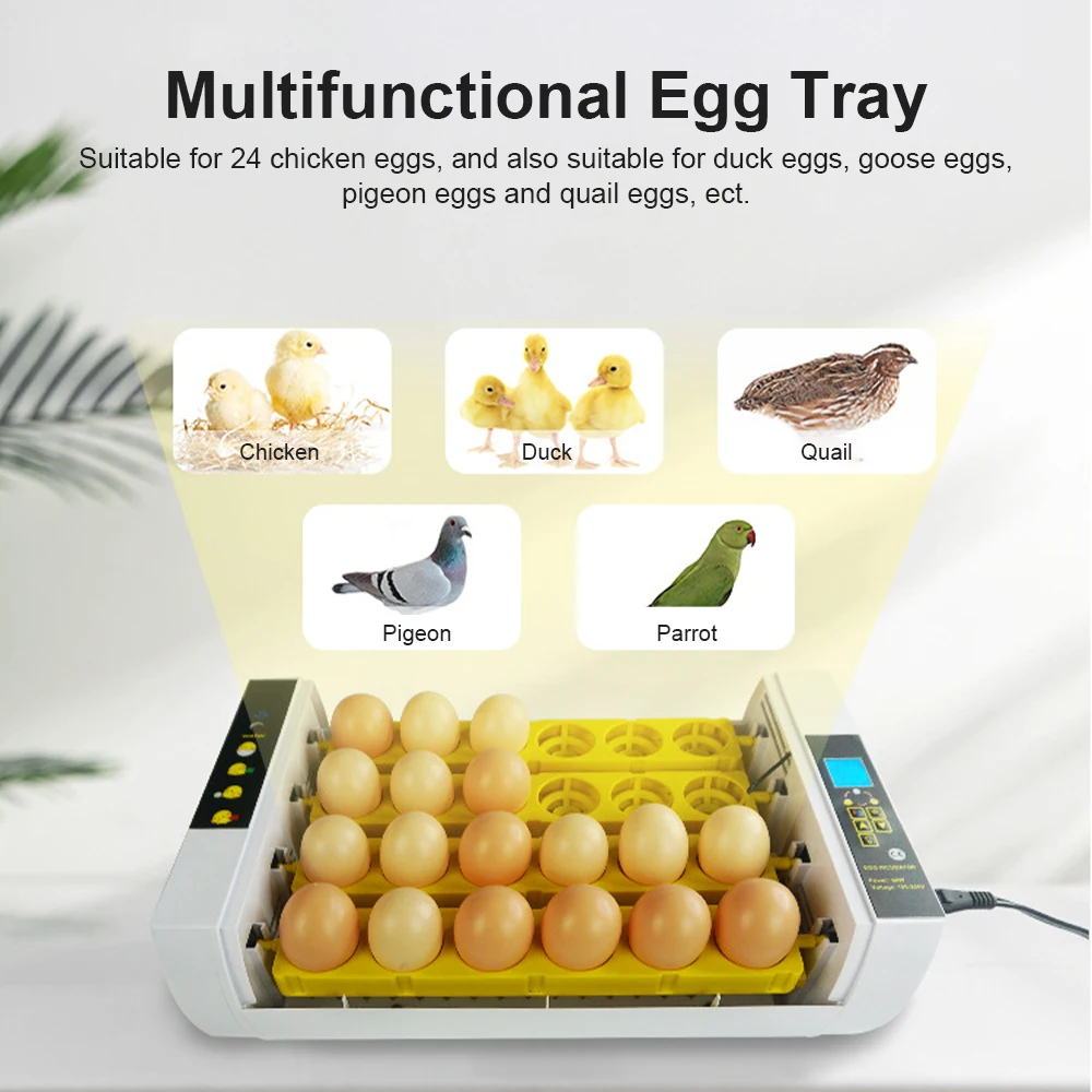 24 Eggs Incubator with Auto Egg Turning Humidity Control and Egg Candler Light Chick Cozy Incubator Hatching Chicken Quail Duck