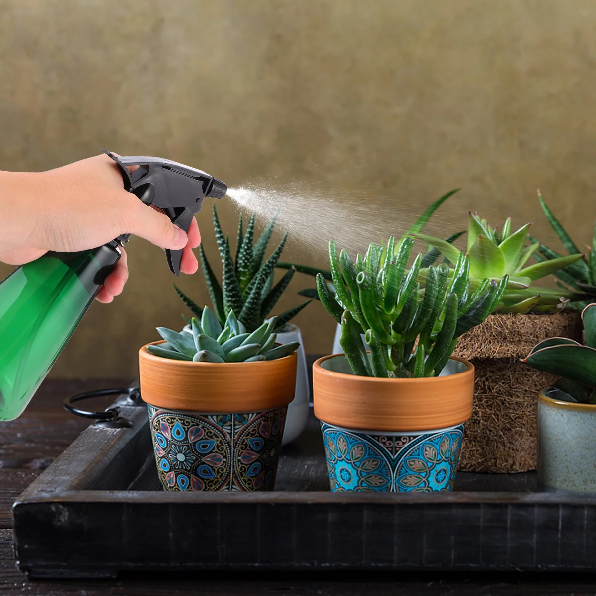 

Lightweight Plant Spray Bottle Plastic Leakproof Portable Reusable for Indoor Outdoor Gardening Mist Spray Watering