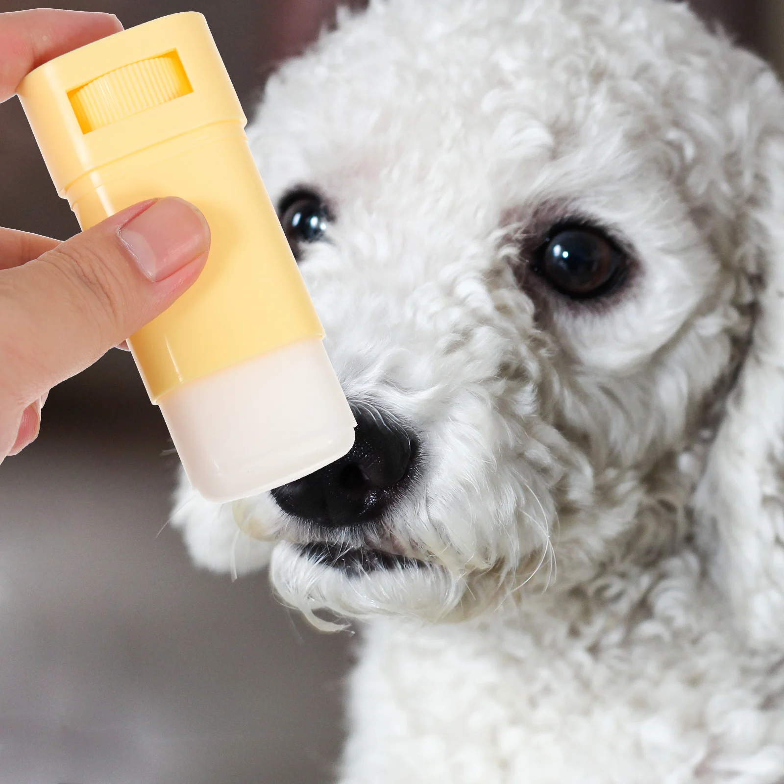 1pcs Paw Balm Natural Beeswax Pet Paw Care Cream Dog Foot Moisturizer Balm Winter Pet Paws Balm Household Pet Caring - Image 4