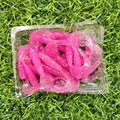 GD10 20PCS 04