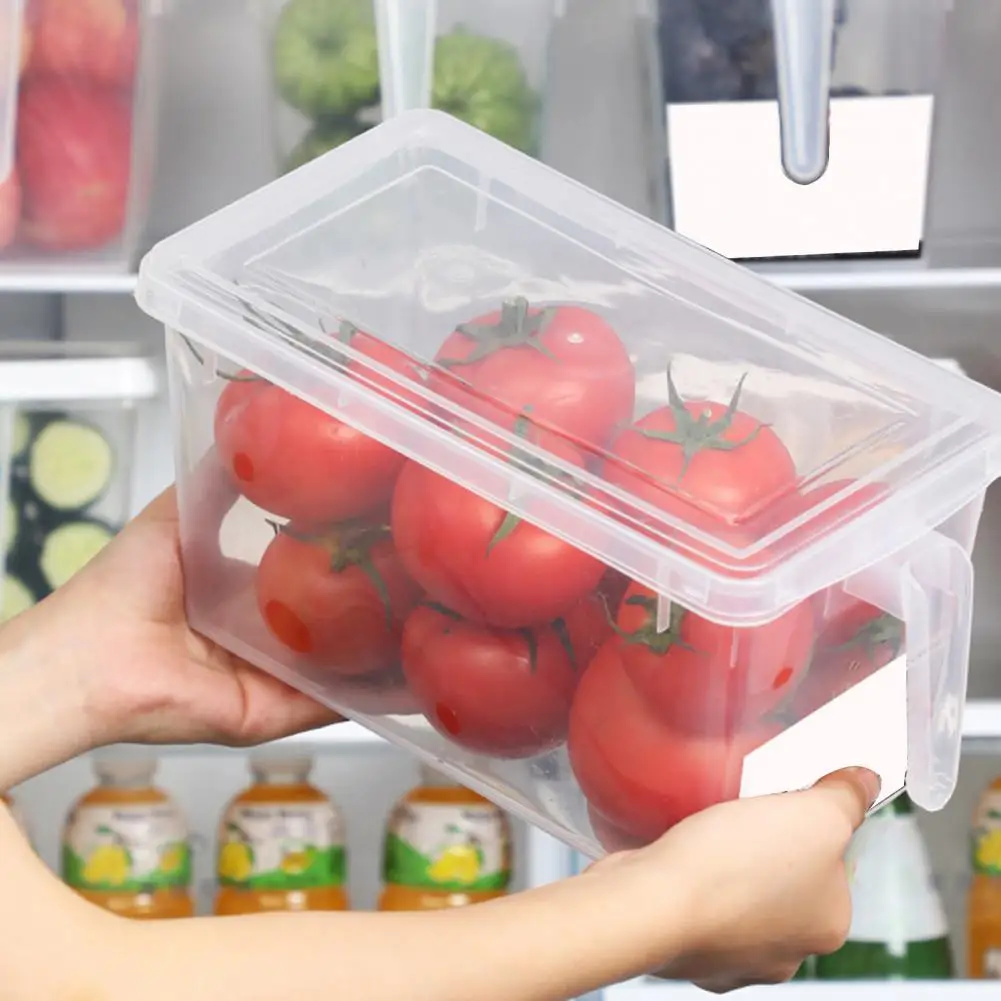 

Rectangular Food Storage Container With Handle Transparent Cold Resistant PP Refrigerator Fruit Storage Box For Home 식품 저장함