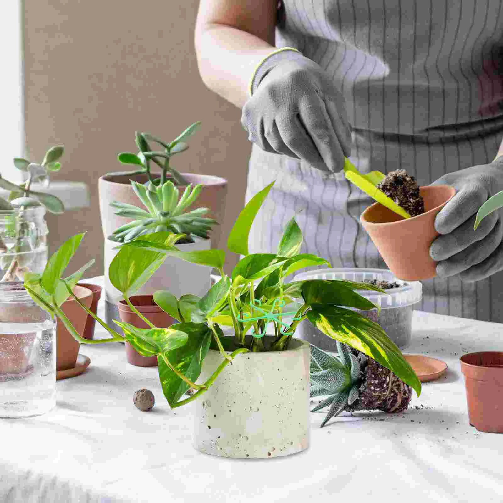 Supports de tige de plante, cadre d'escalade, Clips de plantes, fleurs pour Bouquet d'extérieur