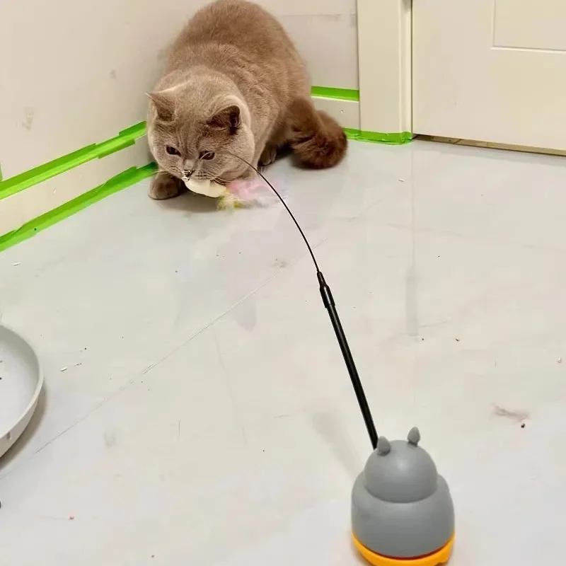 Thumbnail 4 - #33 Cat Wand Toys Discount Picks