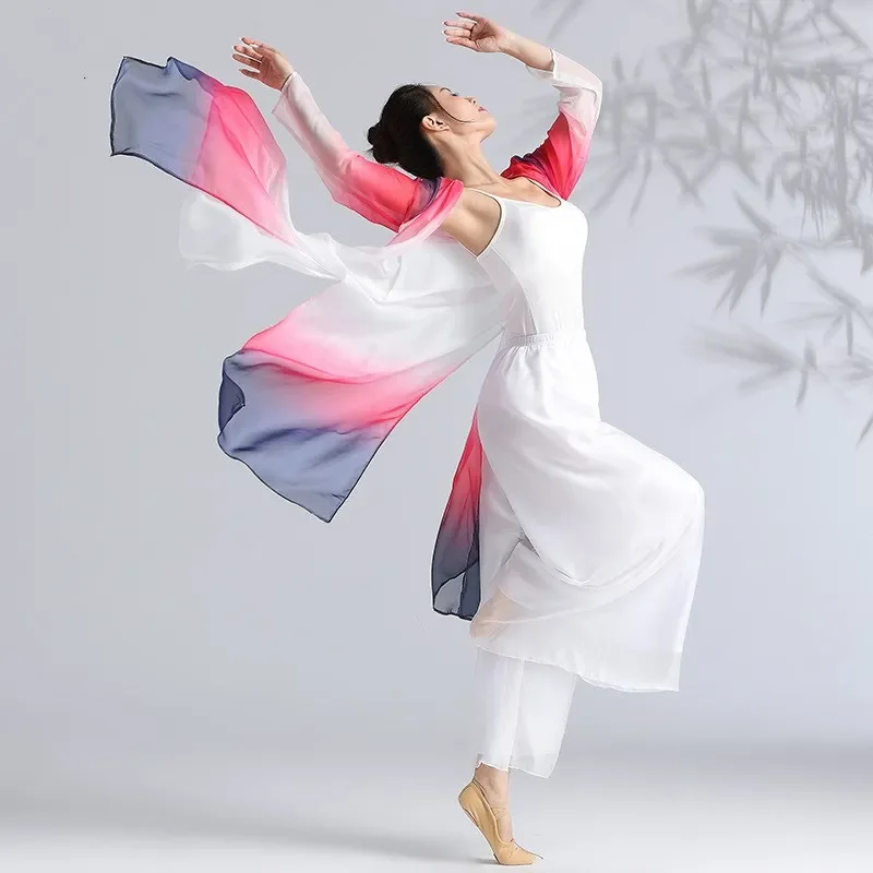 Women Classical Dance Long Dress Flowy Loose Shirt Chiffon Harem Pants Dancer Practice Wear Chinese Folk Dancewear Gradient