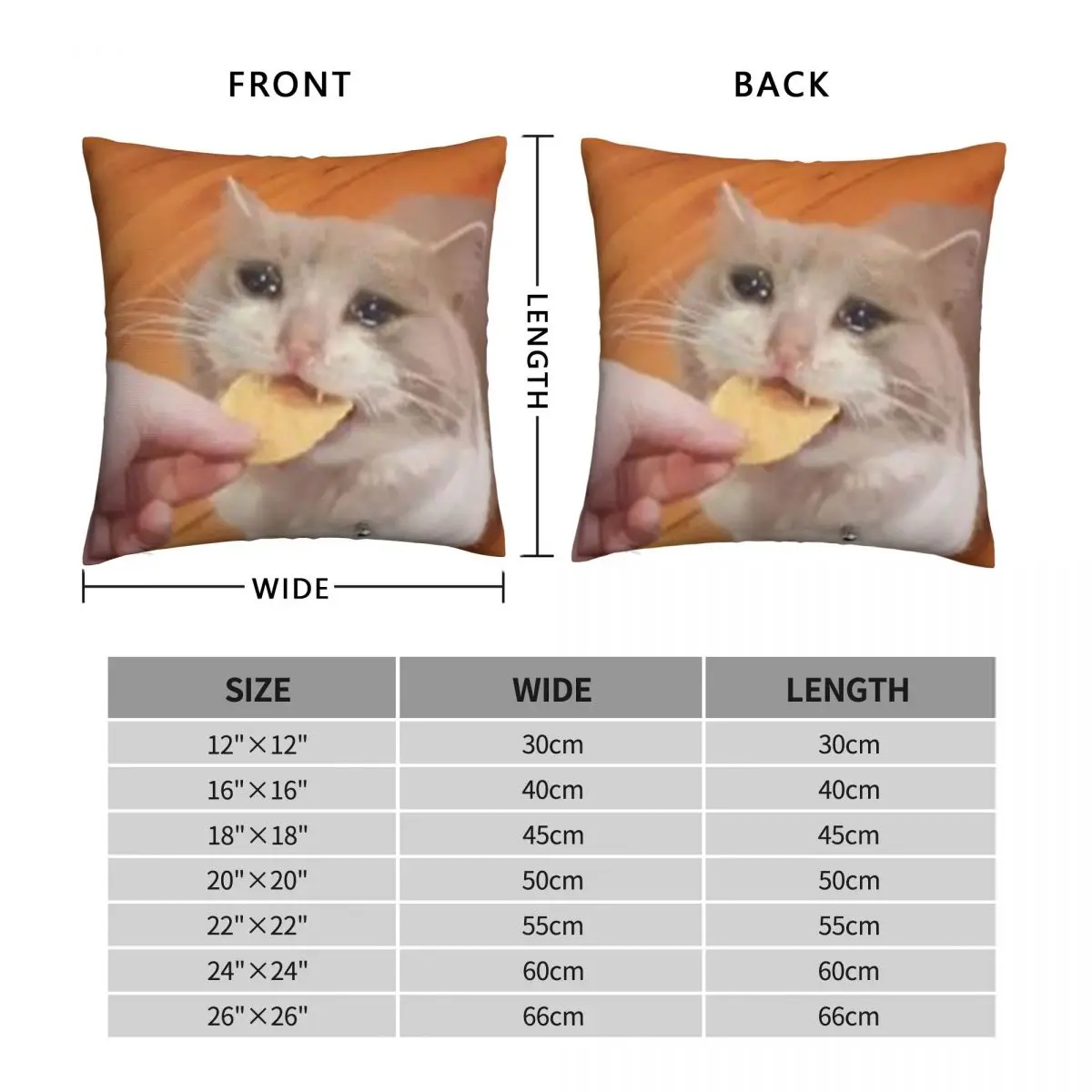 Sad Cat Eats Chip Square Pillowcase Polyester Linen Velvet Pattern Zip Decor Home Cushion Case 18