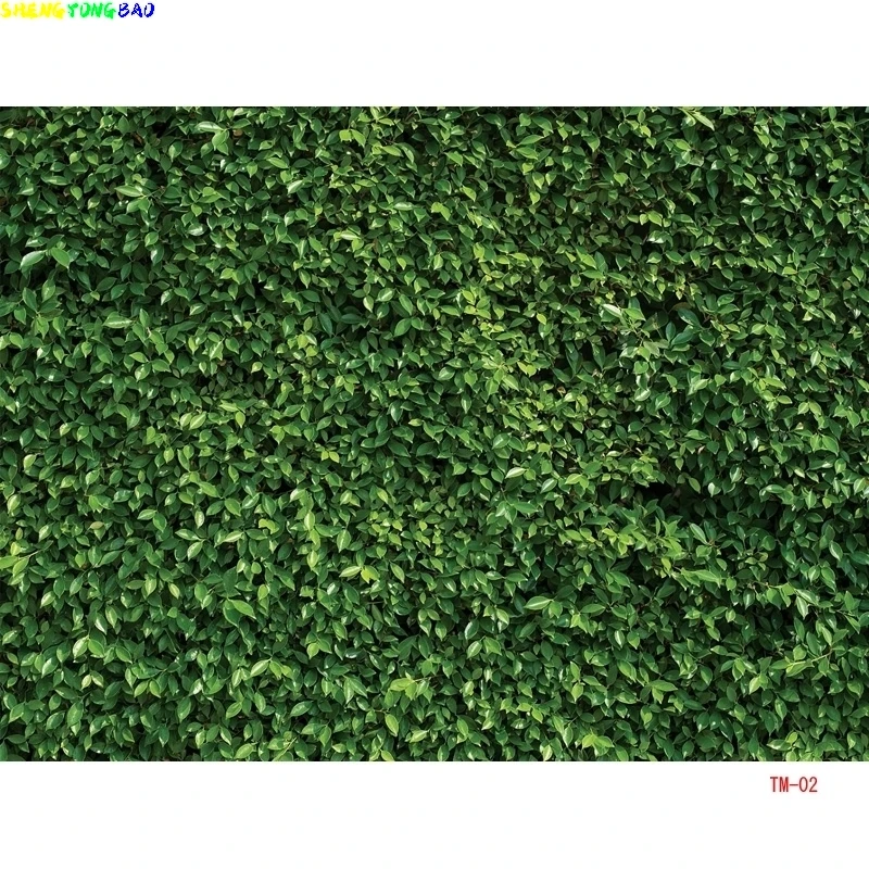 Folhas verdes Fotografia Backd - Fotografi Wedding avaliação e preço