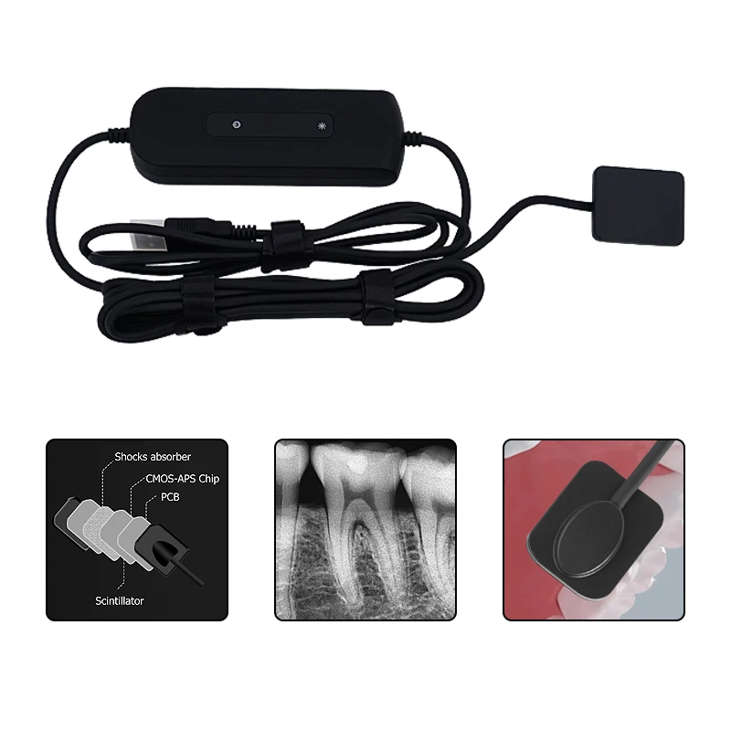 Newest X Ray Unit Digital Sensor Intraoral Imaging System X Ray Sensor Dental Sensor de rayos x dental Dental Equipment