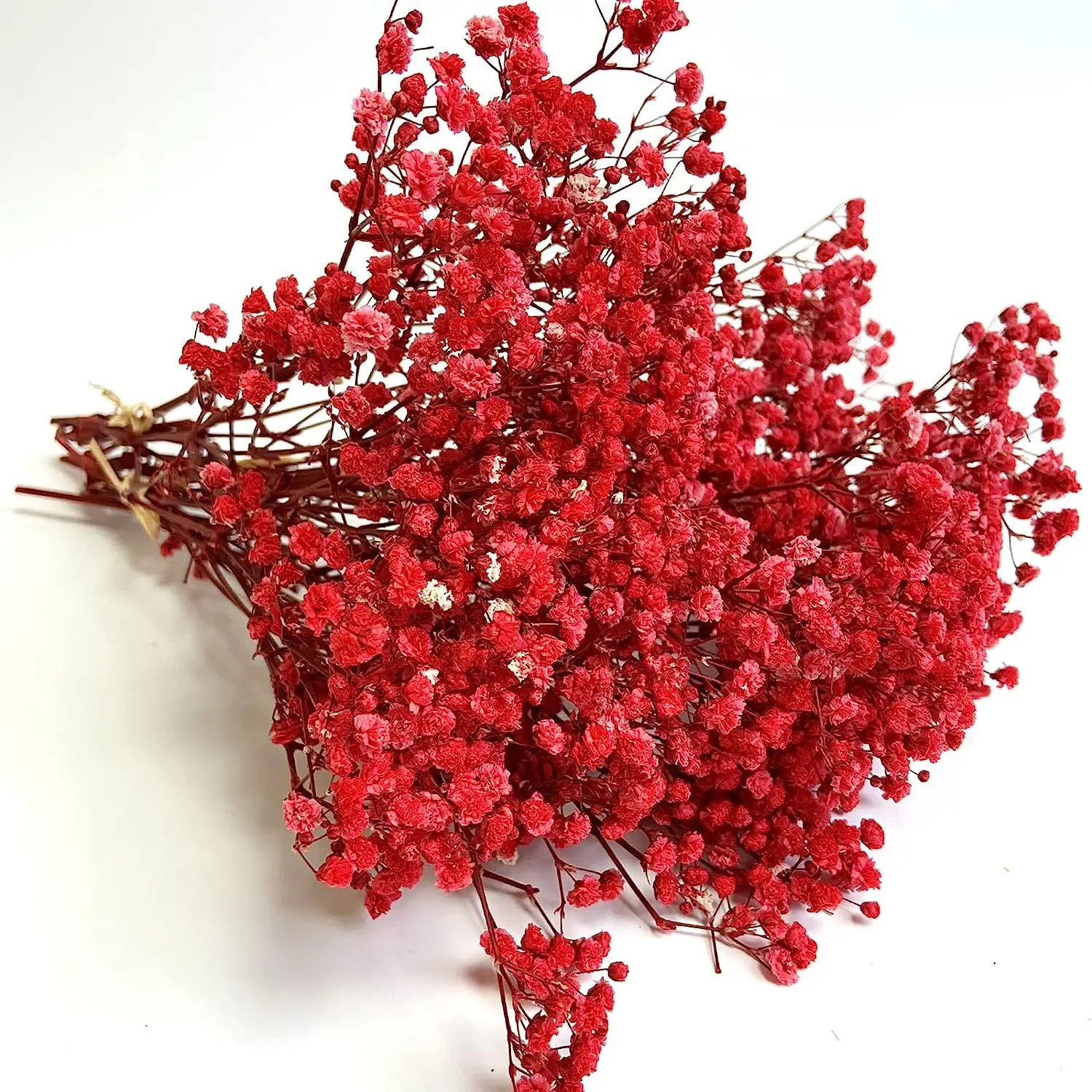 

Red Baby's Breath Dried Flowers Vase,Home Decor,Vintage,Romantic Decor,Versatile Flowers.Holiday Themes and DIY Crafts,new year