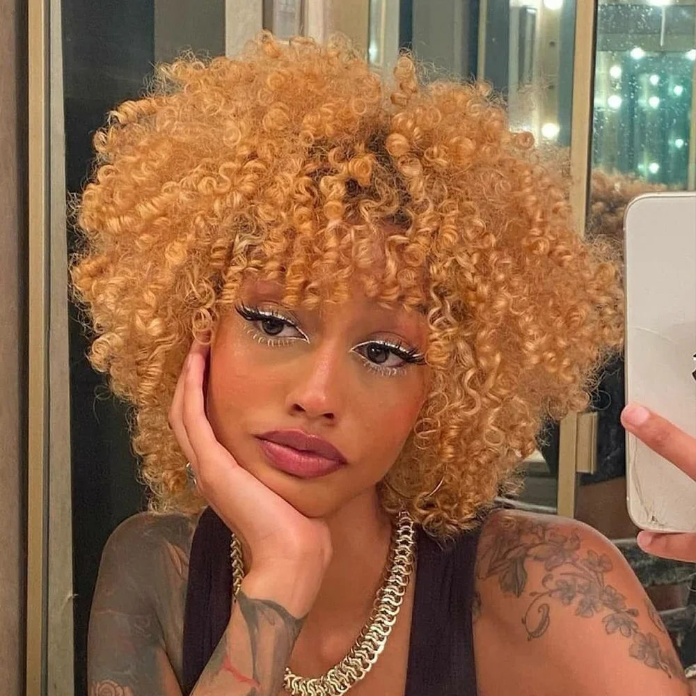 숏 픽시 아프로 킨키 컬리 가발 픽시 컷 가발 브라질 레미 인모 머신 메이드 가발 제리 컬리 헤어 여성용