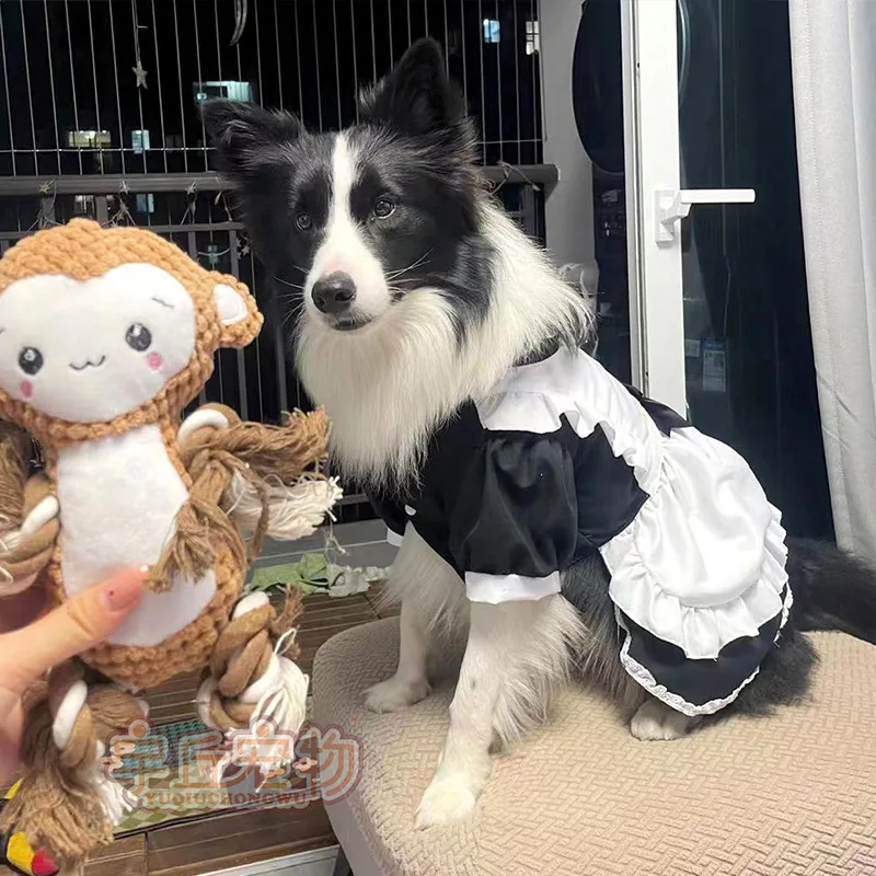 Border Collie Dog Clothes Large Dog Wedding Dress Maid Costume for Alaskan Malamute Giant Poodle Dog Jacket  Chihuahua Clothes - view 3