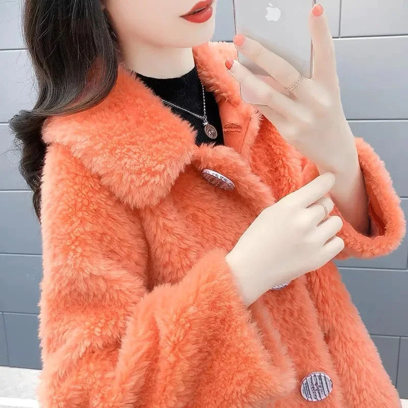 Outono inverno senhoras imitação de lã de cordeiro casaco coreano moda feminina casual jaqueta de pele do falso 2025 feminino mangas compridas de pelúcia outwear