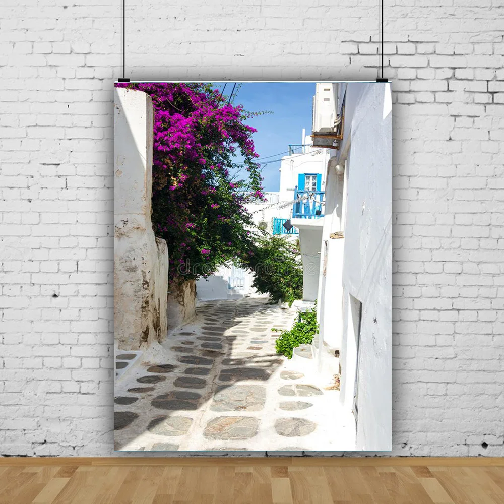 유럽 스타일 레트로 거리 풍경 웨딩 사진, 신생아 및 애완 동물 사진 배경 소품 JDH-09