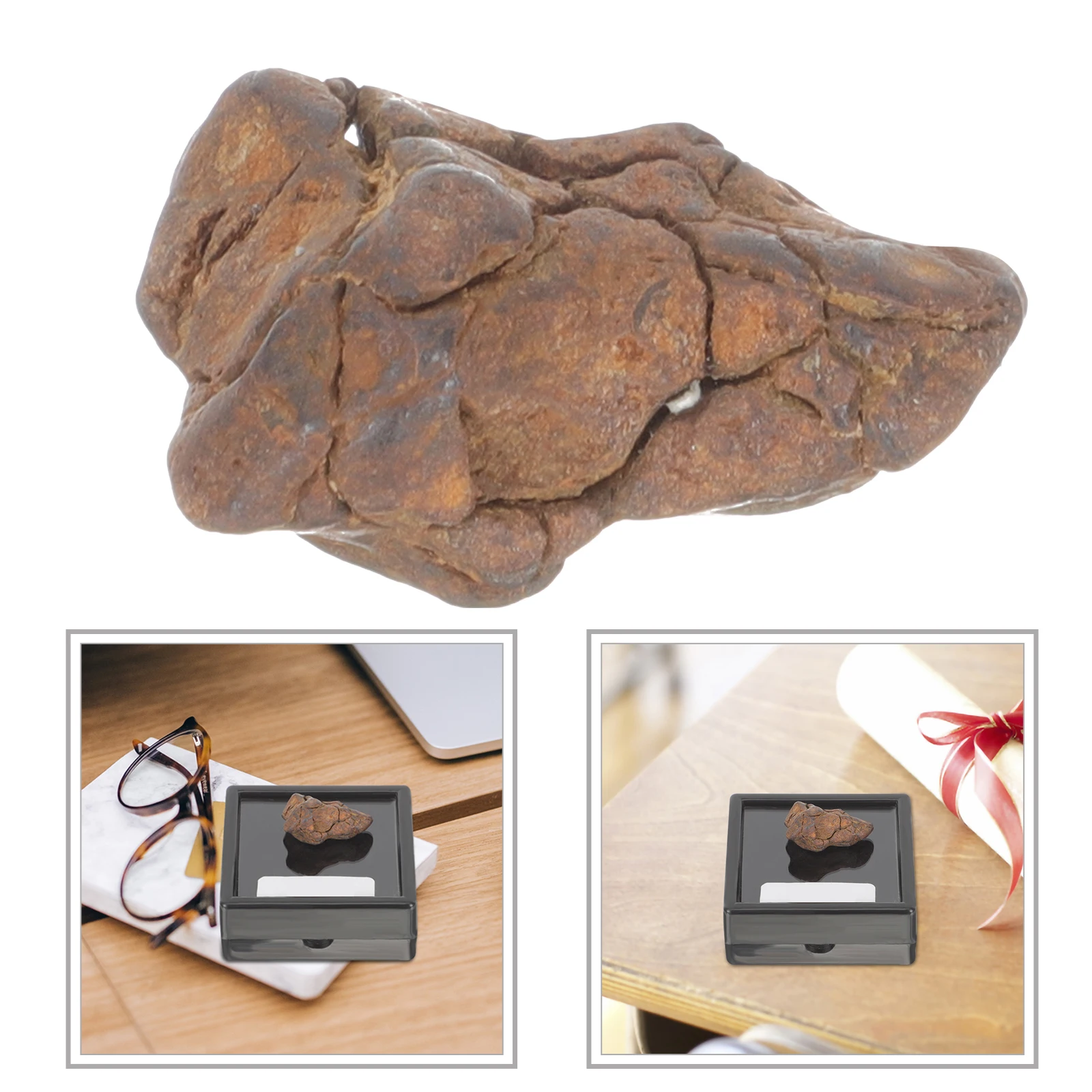 Educational Plaything Meteorite Science Sample Decoration Rocks Table for Students Child