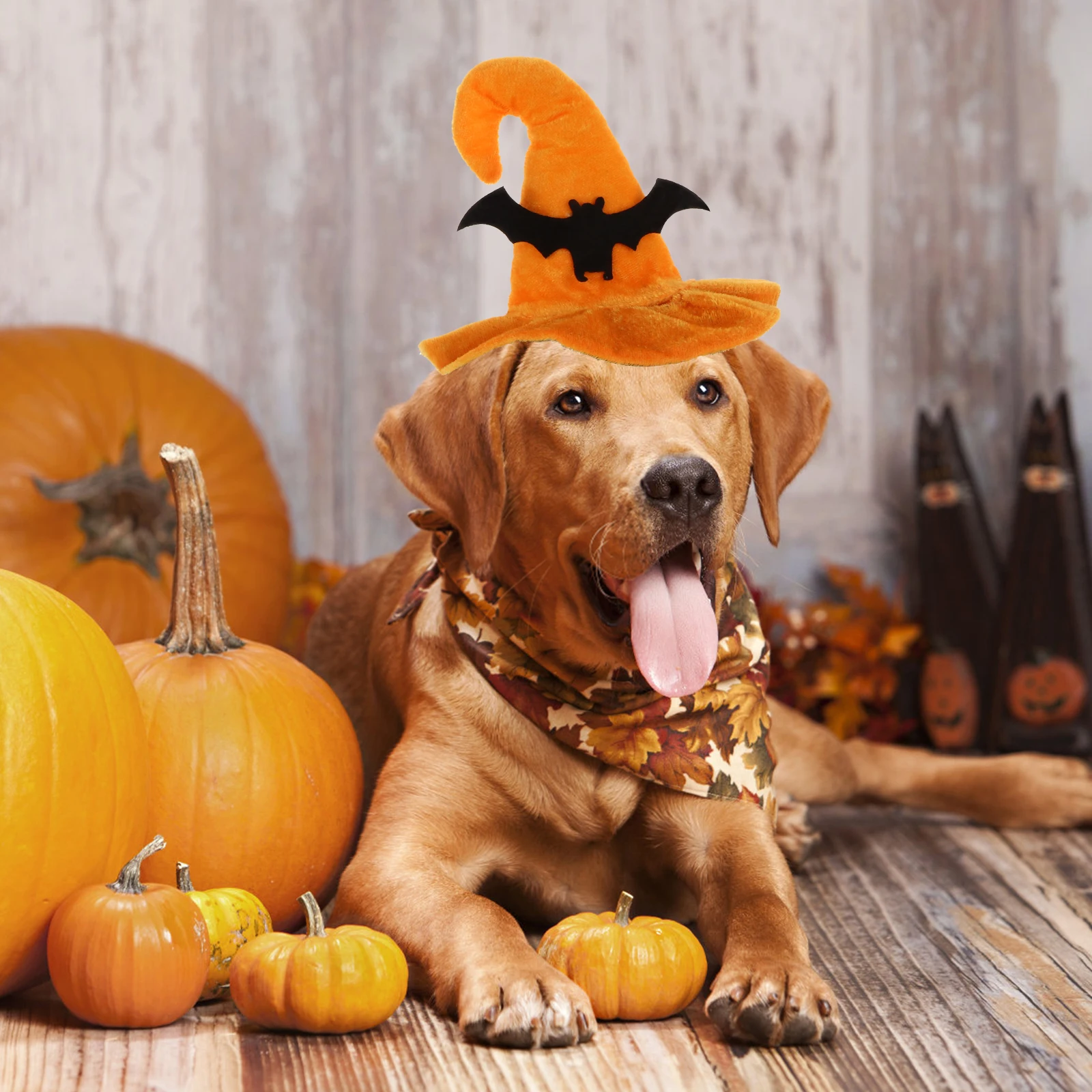 

Halloween Hat Pet Costume for Cat Hats Dogs Supplies Festive Pet-hats Cute