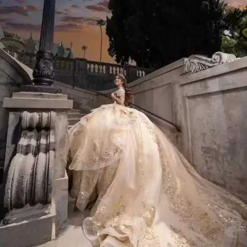 Anpassade Mexikanska Quinceañera-klänningar Champagnefärgade Spetsapplikationer Lyxig Födelsedagsklänning för Flickor Vestido De 15 Quinceañera Sweetheart 8 best sales champagnefärgade quinceanera-klänningar - №8