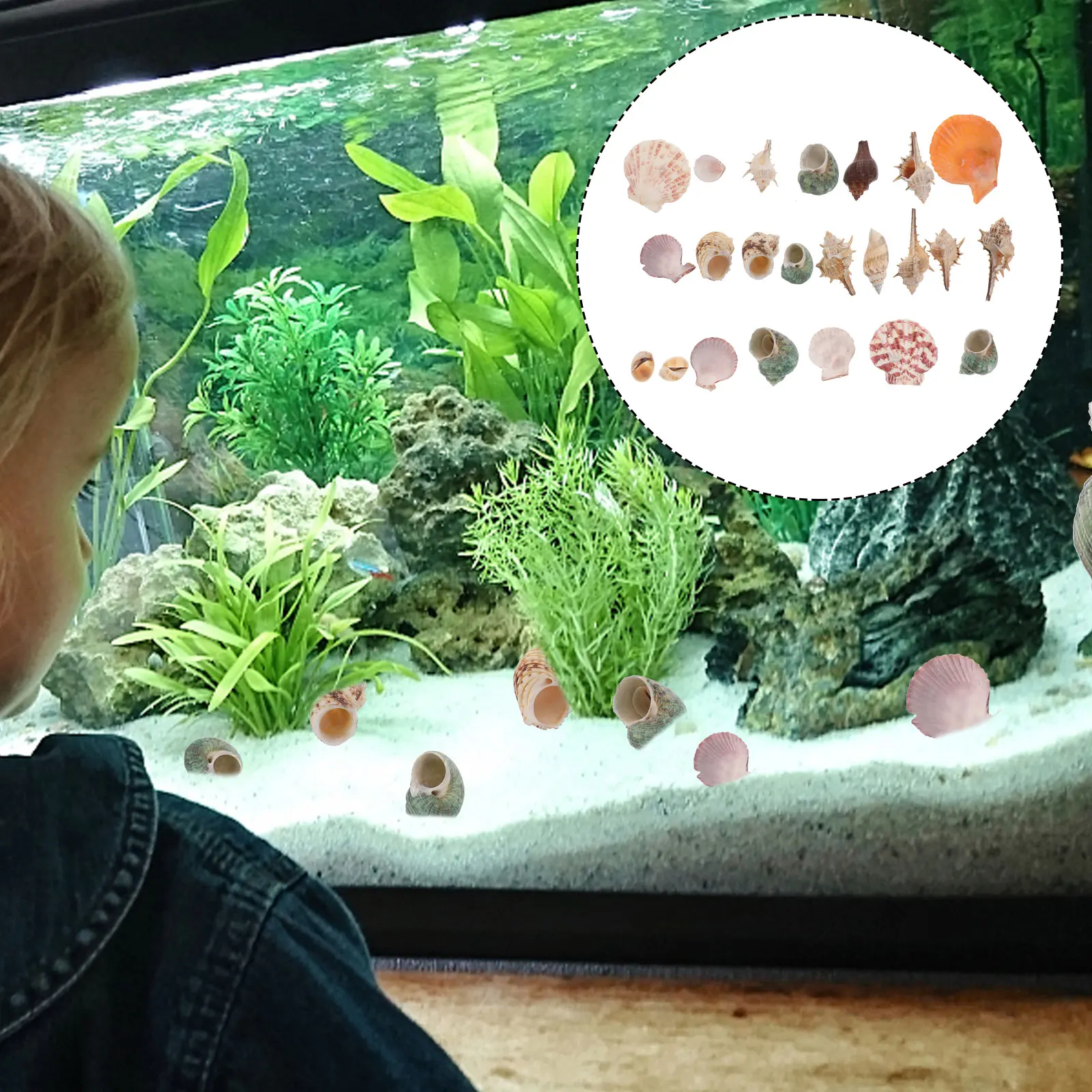 

1Pack Aquarium Simulation Conch Shells 200g Lifelike Fish Tank Landscape Decor Ornament Natural Habitat Decoration