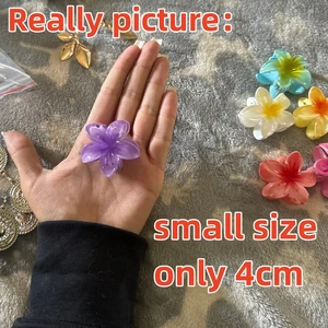 أفضل 10 مبيعات لحفلات الشعر في هاواي - رقم 2