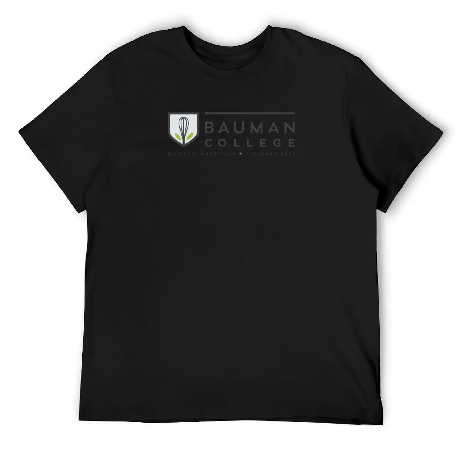 Bauman College Logo Full Color T-Shirt oversized t shirt animal prinfor boys vintage mens graphic t-shirts big and tall