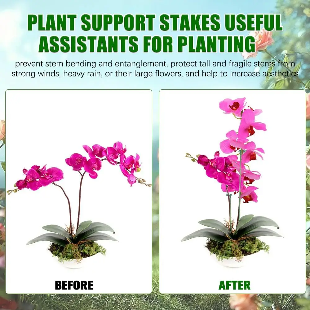 5/10 قطعة يدعم النبات حامل الفراشات زهرة الأوركيد بوعاء تحديد قضبان قابلة لإعادة الاستخدام حماية الخضروات تحديد أداة البستنة سو #2