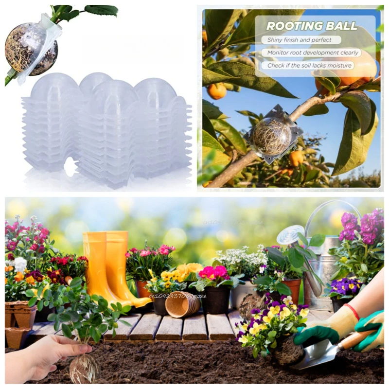 6/8/12cm Reusable Plant Rooting Ball Air Layering Pods High Pressure Propagation Grafting Breeding Case for Home Gardening
