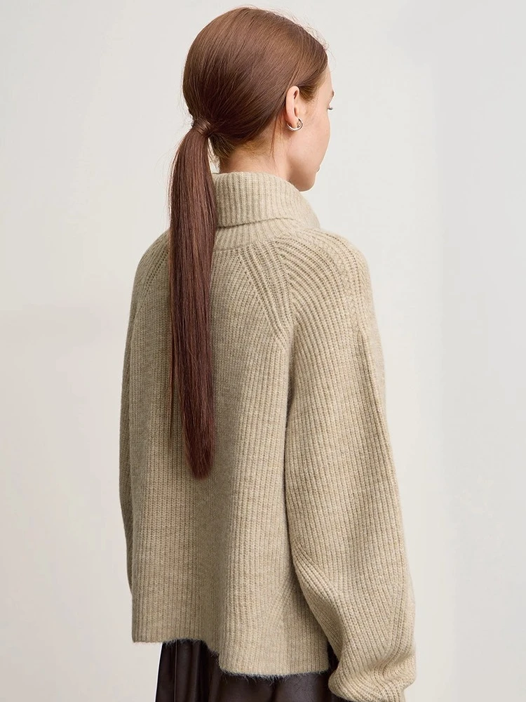 Amii Turtleneck Sweater For Woman Loose Versatile Warm Loose Sleeve Top 2025 Winter New Pullover Short Sweater Women 12554056