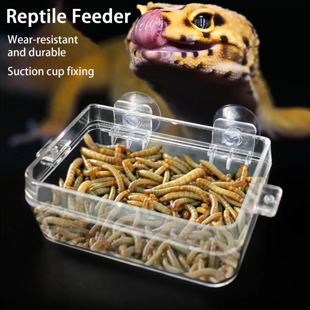 Reptile Pet Feeder,Suction Cup, Fixed, Detachable Clear Food Bowl, Worm Live Container, Lizard, Gecko Crawling Pet Bowl