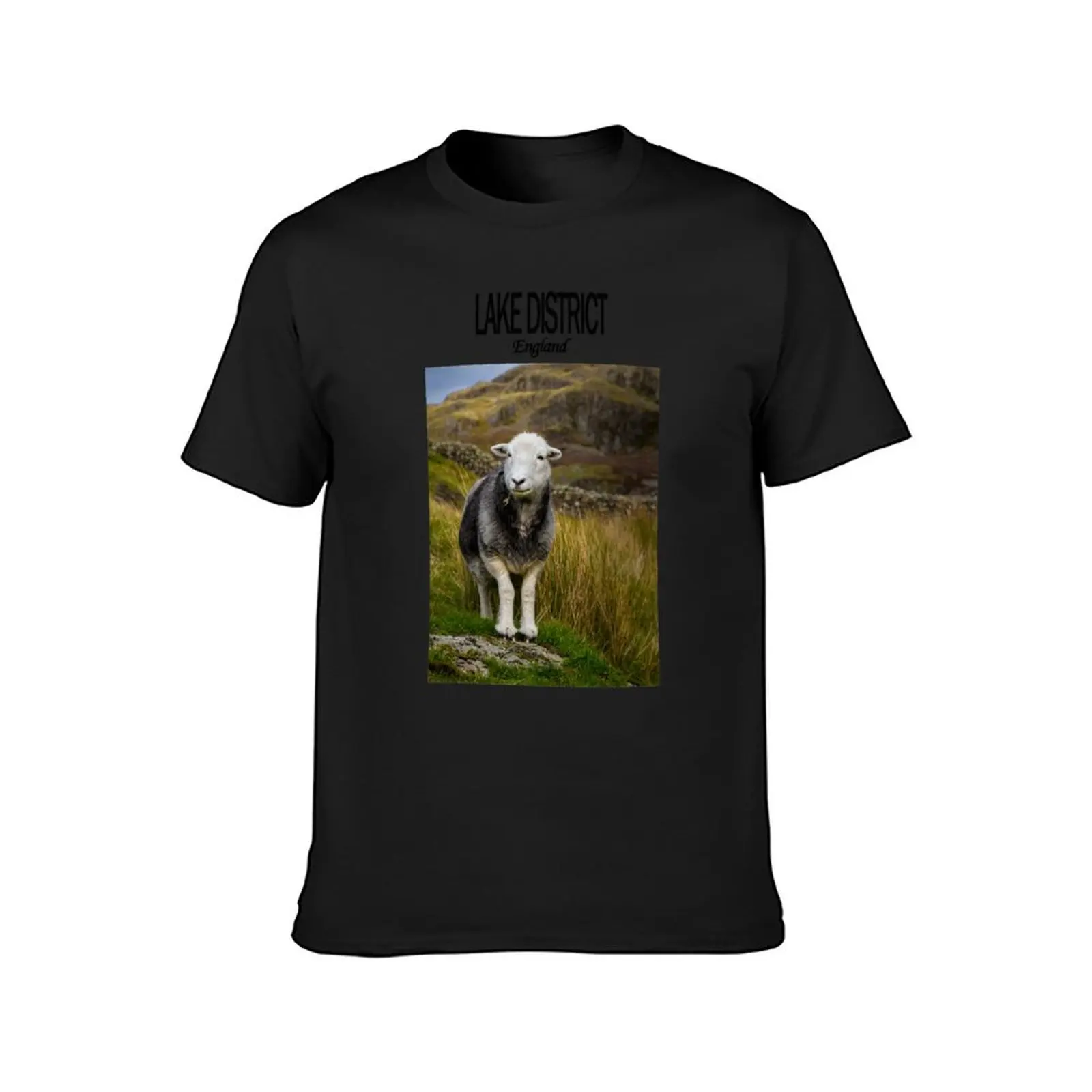 Herdwick in The Lake District T-Shirt boys whites animal prinfor boys anime clothes shirts graphic tees black t shirts for men