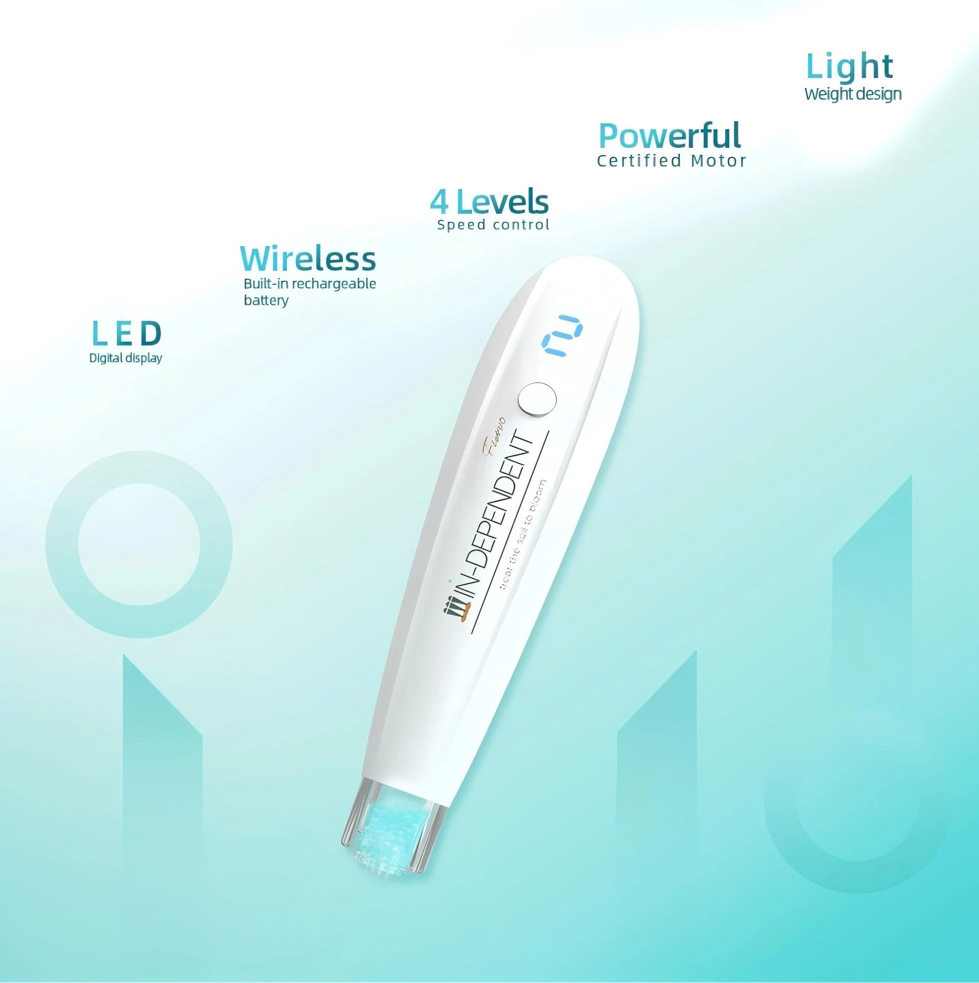 Electric Microneedle Pen MTS Automatic Serum Infusion Device LED Display Skin Care Beauty Tool with 2 Replaceable Cartridges