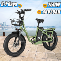 PHILODO T1 All Terrain Electric Bicycle 750W Motor 48V 20Ah Battery Electric Cargo Bike Max Range 60-90Km 20*4.0\