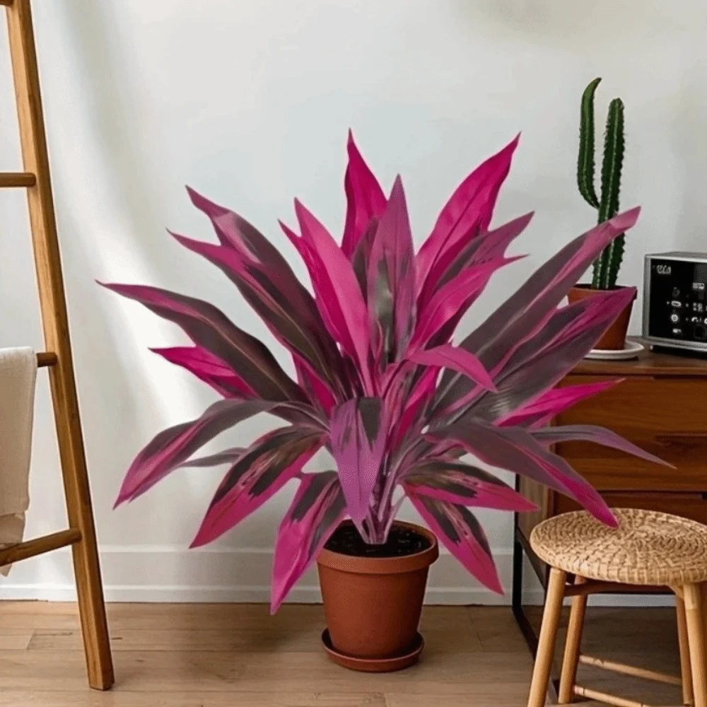 Arbre artificiel en plastique Dracaena, plantes tropicales artificielles réalistes et vibrantes, feuilles réalistes résistantes à la décoloration