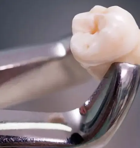 

Набор щипцов для удаления зубов из нержавеющей стали, плоскогубцы для взрослых, 7 шт./компл., хирургические щипцы для удаления зубов для детей