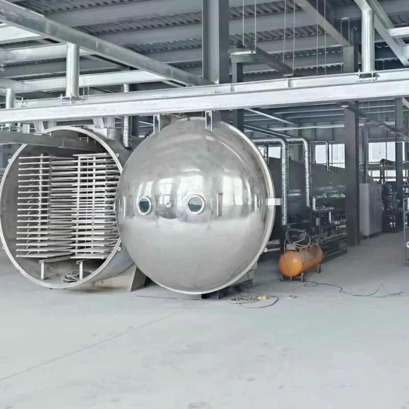 Customized 5m² 10m² 15m² Vacuum Freeze Dryer Lyophilizer Freeze Drying Machine for Pet Food Treats Yogurt Dairy Products