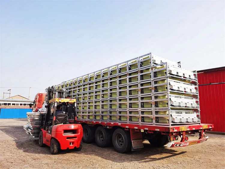 Hot Sale Commercial Date Jujube Sorting Machine/hawthorn Cherry Grader/mini Fruit Size Grading Processing Equipment