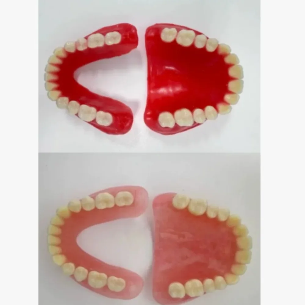 Full senior teeth Full teeth Model display supplies Full dentures Removable dentures