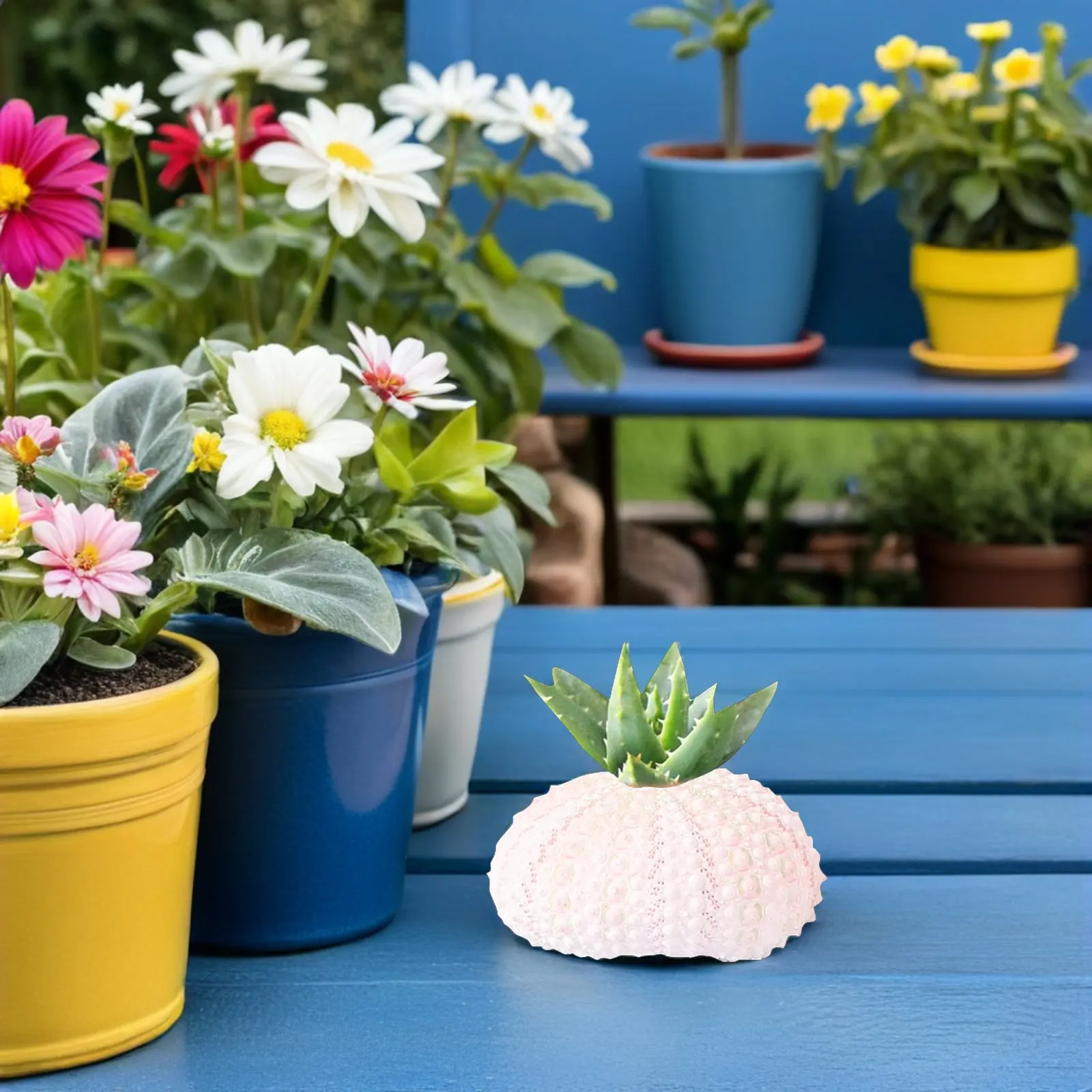6Pcs Sea Urchin Air Plant Holders White Shell Conch Flowerpots Small Space Saving Desk Window Sill Decor Indoor Living Room
