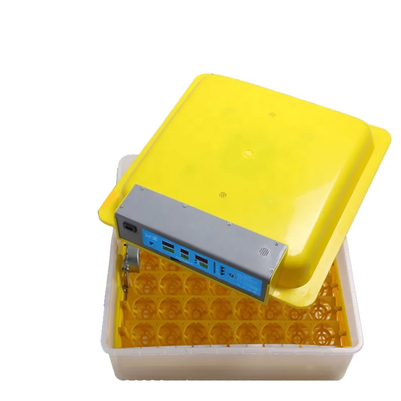 Mini 56 Egg Incubators Turkey OEM Chicken Quail Duck Eggs Incubator For Hatching Eggs On Sales