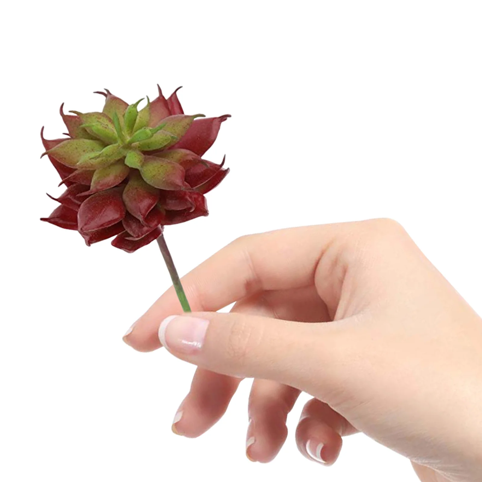 

Simulated Succulents Artificial Plants Small Potted for Indoors Reddish Brown Grey