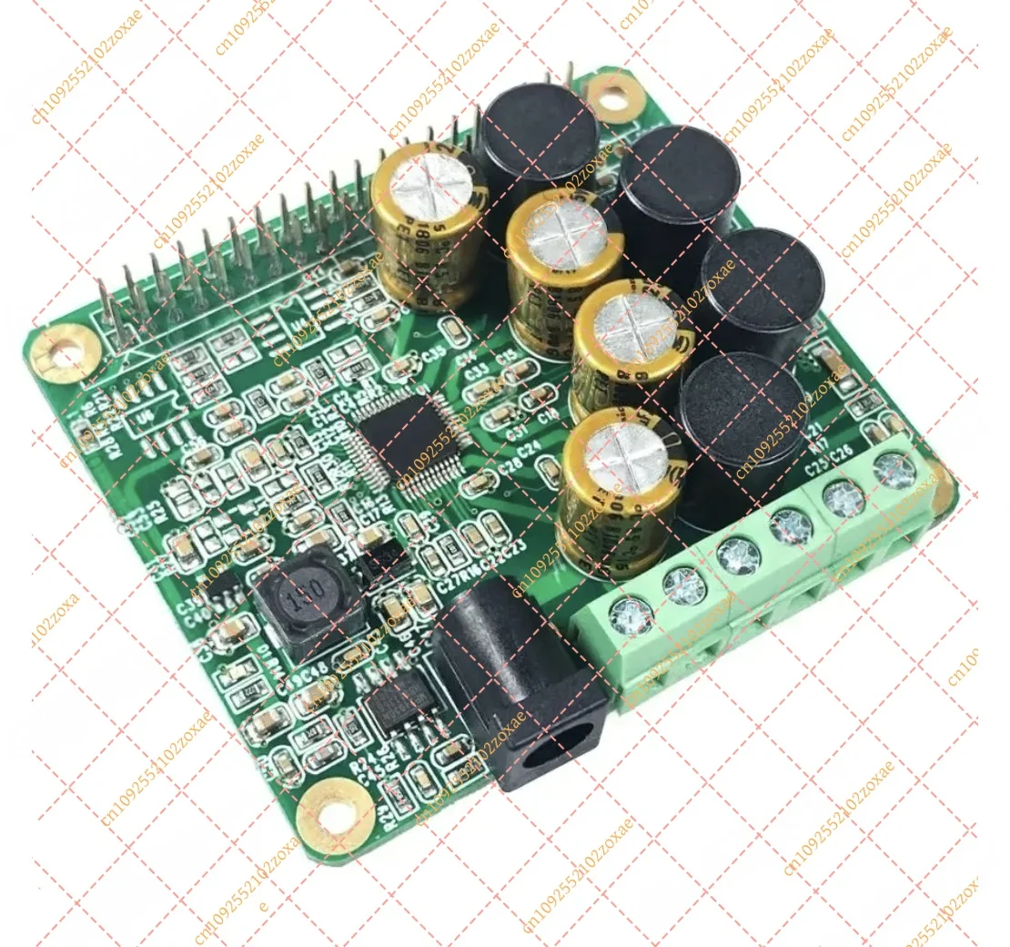 Dual Channel Audio Amplifier Board HAT Module Compatible with Raspberry Pi 5 4 3B+ Zero W I2S Sound Card