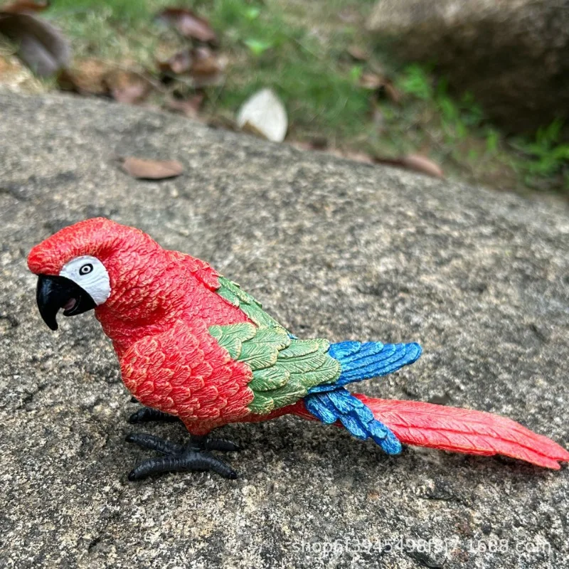 Realistic Solid Toucan Owl Parrot Peacock Bird Figurine Miniature Model Home Decor