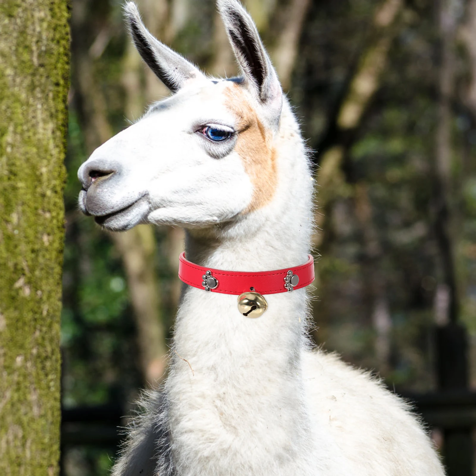 

4 Pcs Bell Collar Sheep Husbandry Supplies Adjustable Animal Collars Alloy Whelping Horse Farm Accessories