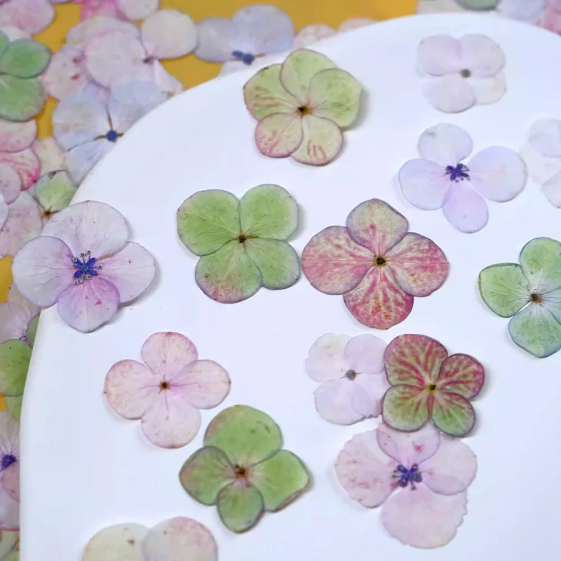 24 Stück, gepresste Hortensien im Monet-Stil – DIY-Schmuckzubehör aus getrocknetem Blumenharz, Blütenblatt-Fotorahmen und Handyhüllen-Bastelset – Detail 2