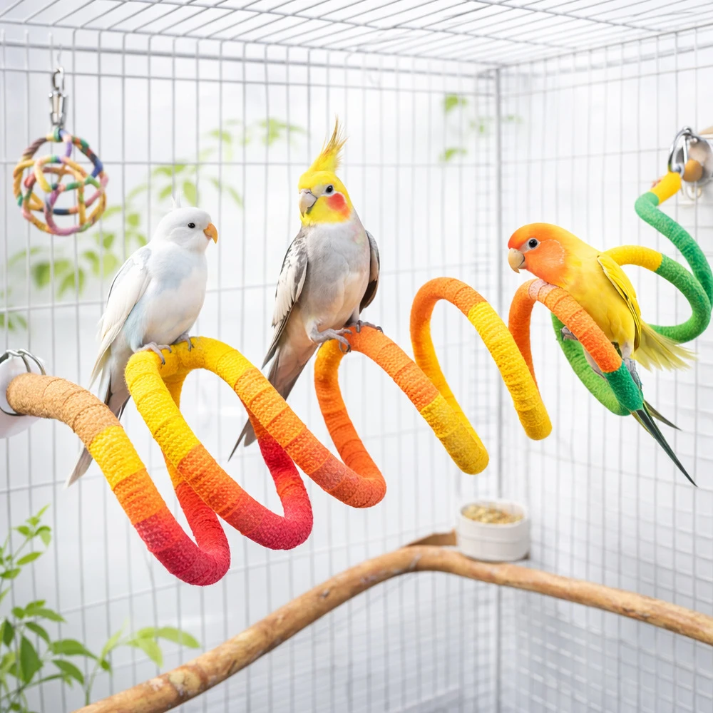 #16 Bird Perch Stands Comparison Guide