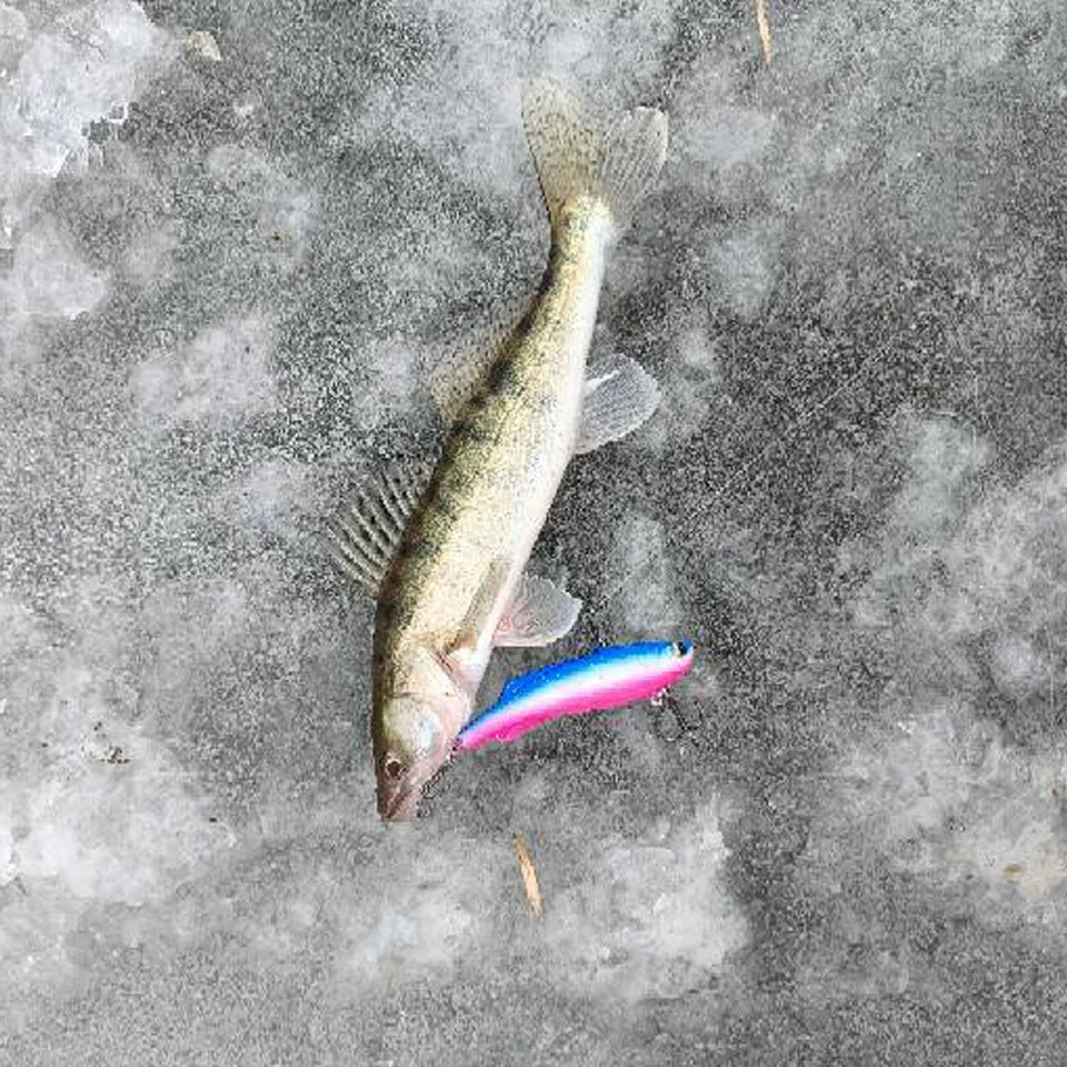 المشي الأسماك الصيد السحر سيليكون الروطان السحر قميص VIB SL فيبرا 16 جرام 23 جرام 30 جرام الغزل ، الشتاء الصيد ل بايك زاندر جثم