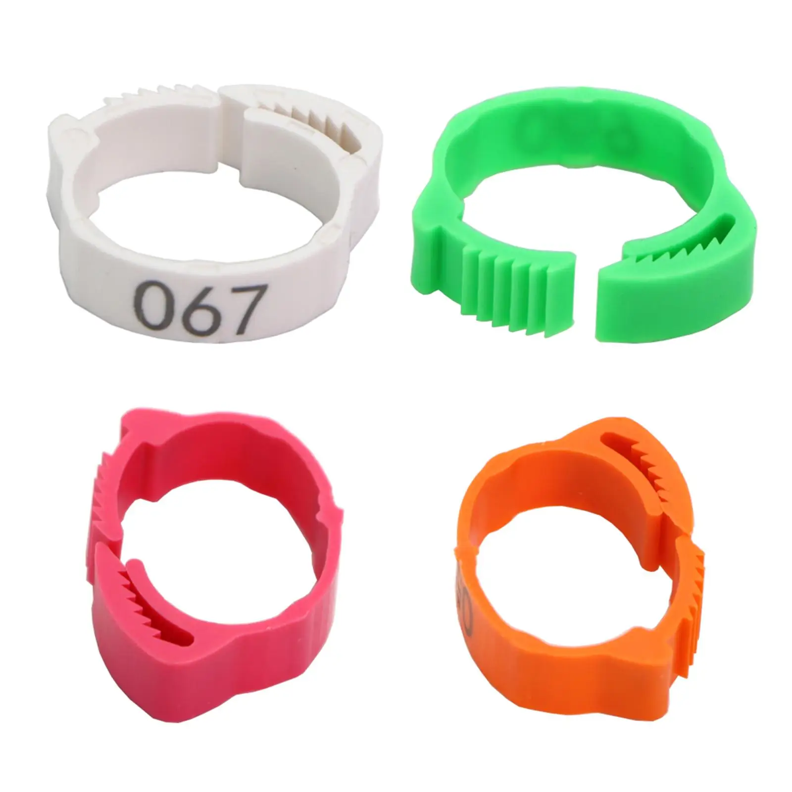 Plastic Poultry Ankle Bands Adjustable Foot Ring Labels for Farm Gamefowl Chicks Hens Ducks Easy Sorting
