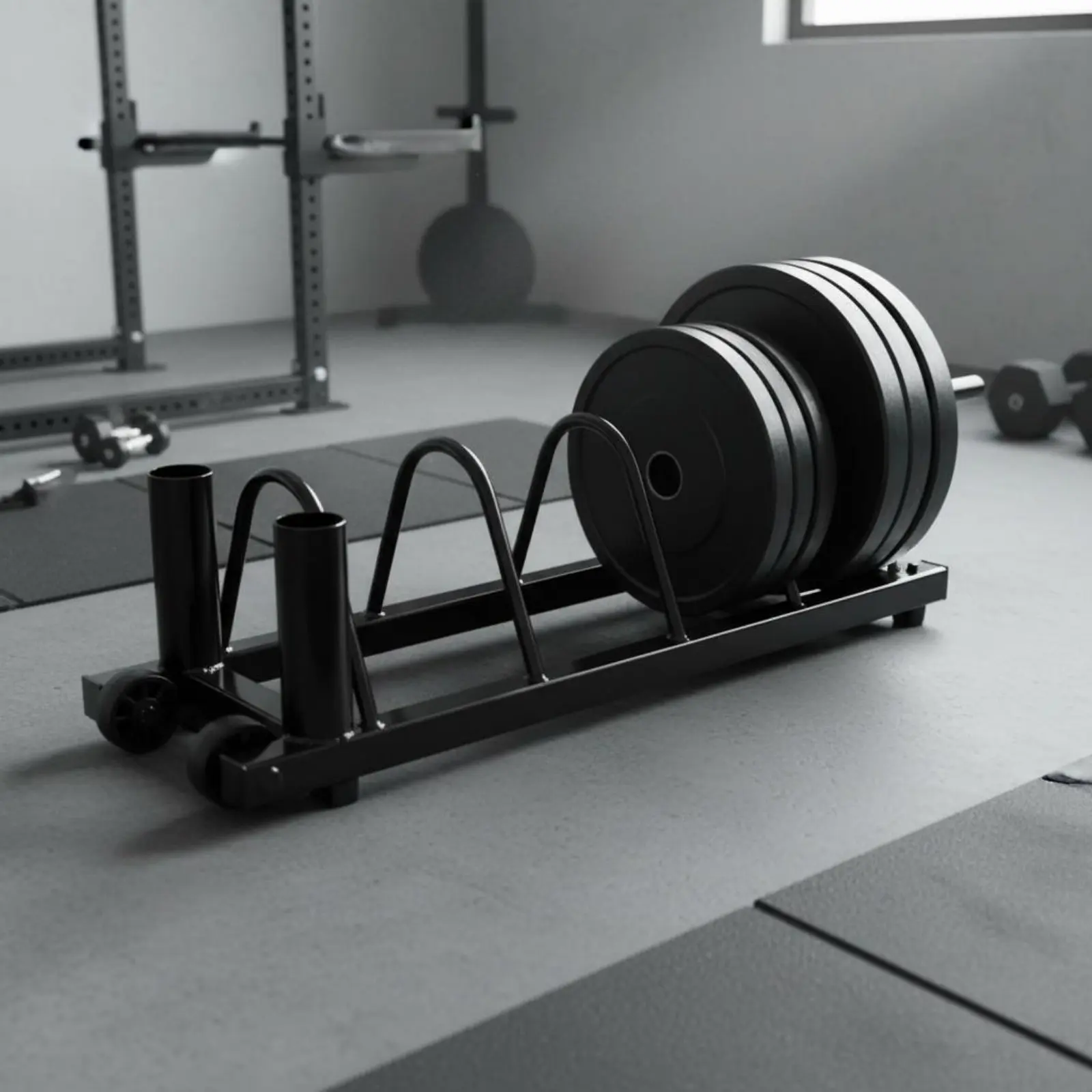 

Barbell Plate Storage Holder Space Saving Mobile Weight Plate Rack for Home Gym
