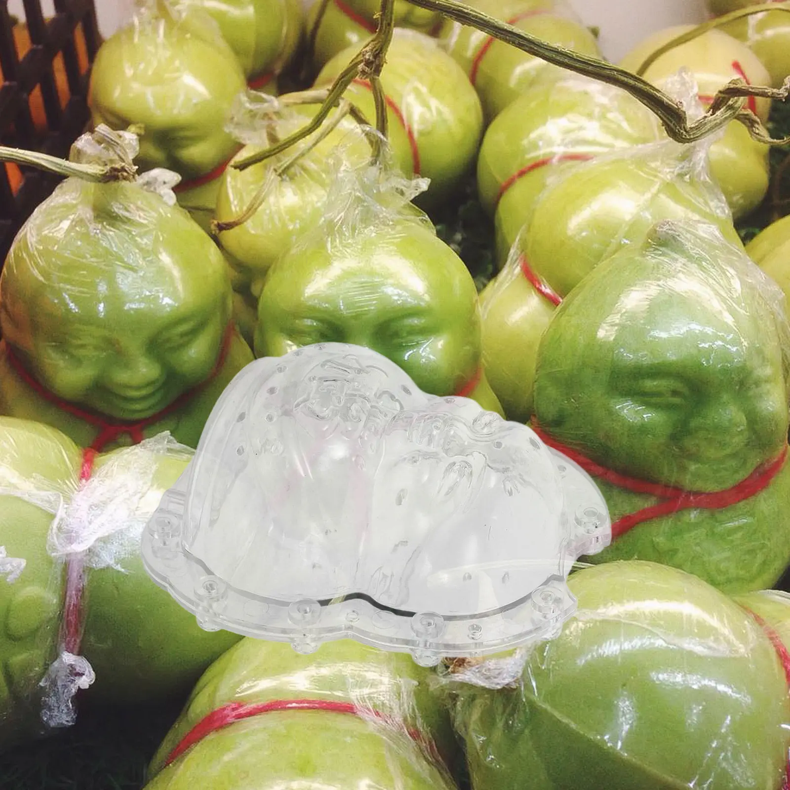 2Pcs Adorable Transparent Fruit Mold Buddha Shape Pc Material for Melon Ginseng Shaping Garden Supply Strong Tensile Strength